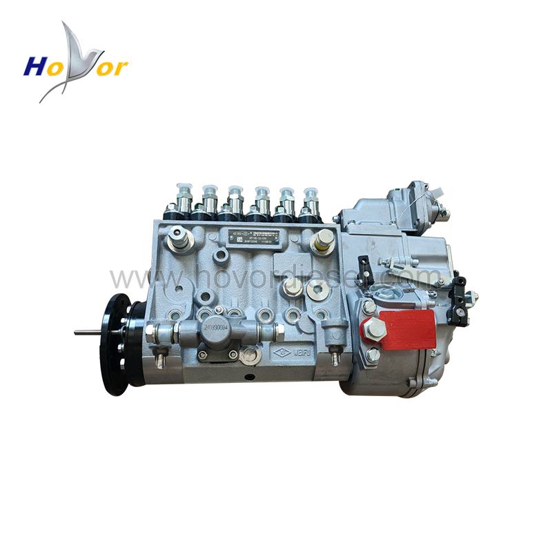 04223922 04221532 0422 3922 0422 1532 Diesel Engine Spare Parts Fuel inject. pump for Deutz 1015 BF6M1015 BF6M1015C