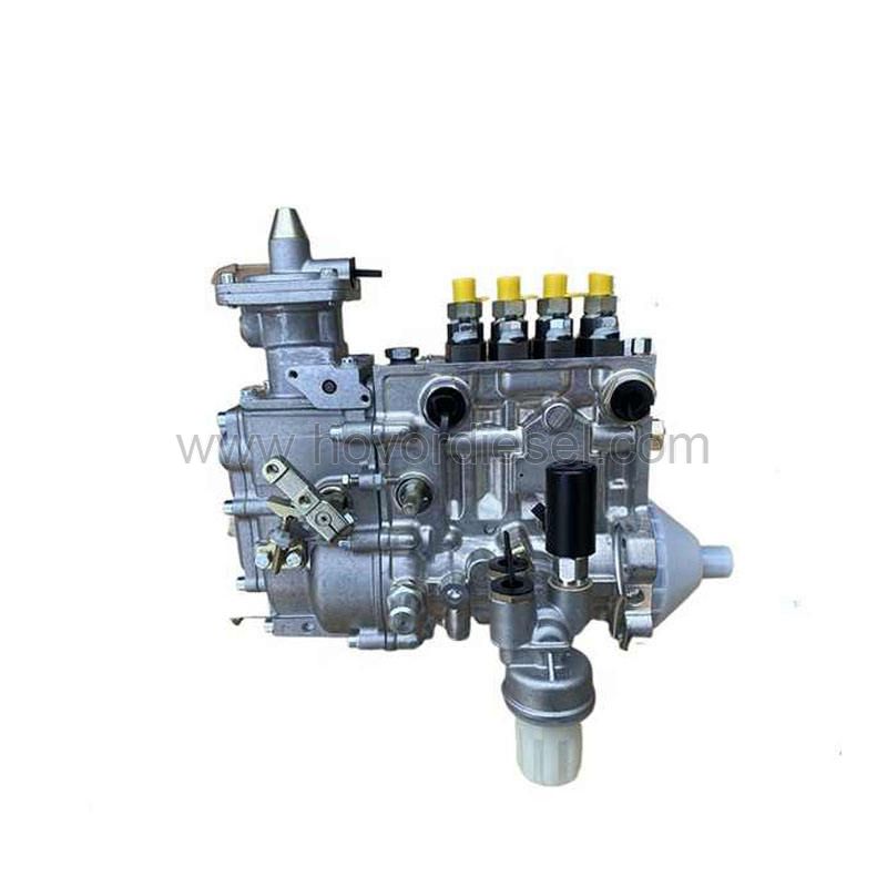 Diesel engine parts BF4L914 Fuel inject  pump 0423 6206 04236206 for deutz