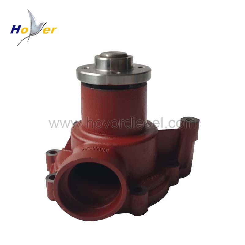Hot Sale BF4M1013 BF6M1013 Diesel Engine Water Pump 04256959 for Deutz
