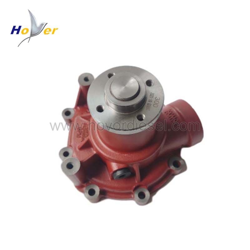 Hot Sale BF4M1013 BF6M1013 Diesel Engine Water Pump 04256959 for Deutz