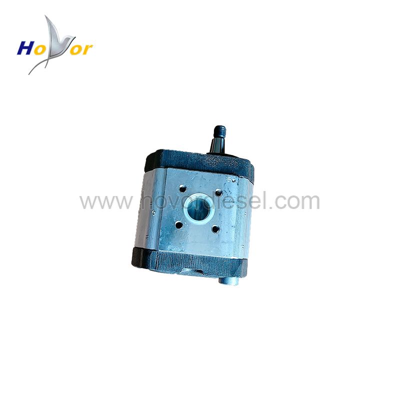 0117 5656 0117 4342 01175656 01174342 Diesel Engine Spare Parts Geared Pump for Deutz 2012 1013 2013