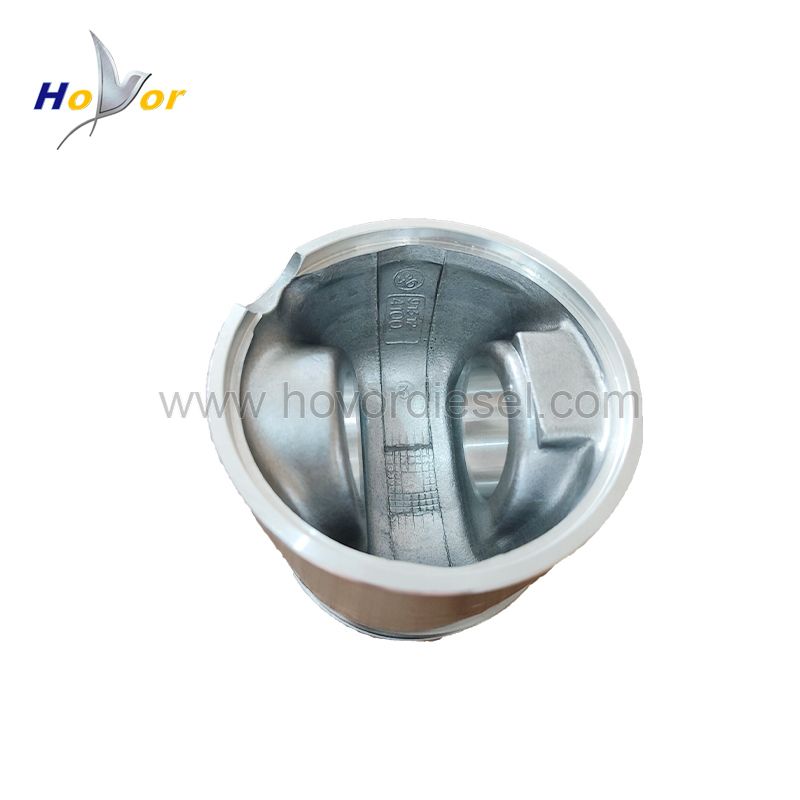 04205456 05207594 04205251 04205256 04207596 04207775 04207774 Diesel Engine Spare Parts Piston for Deutz 1013