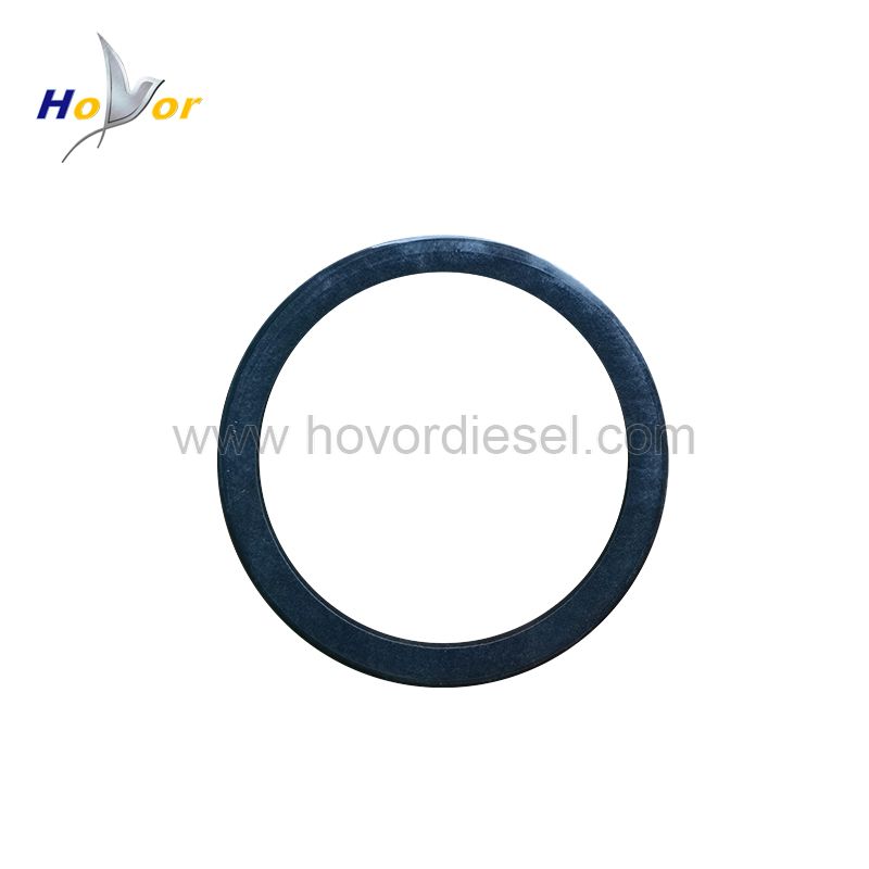 0412 8170 04128170 Diesel Engine Spare Parts SHAFT LIP SEAL  Shaft Lip Seal for Deutz TD2.9 1011 2011