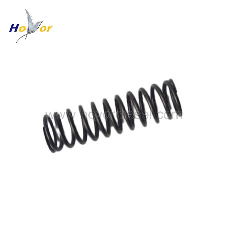 04178423 Diesel Engine Parts Compression spring for Deutz 1011 2011 engine