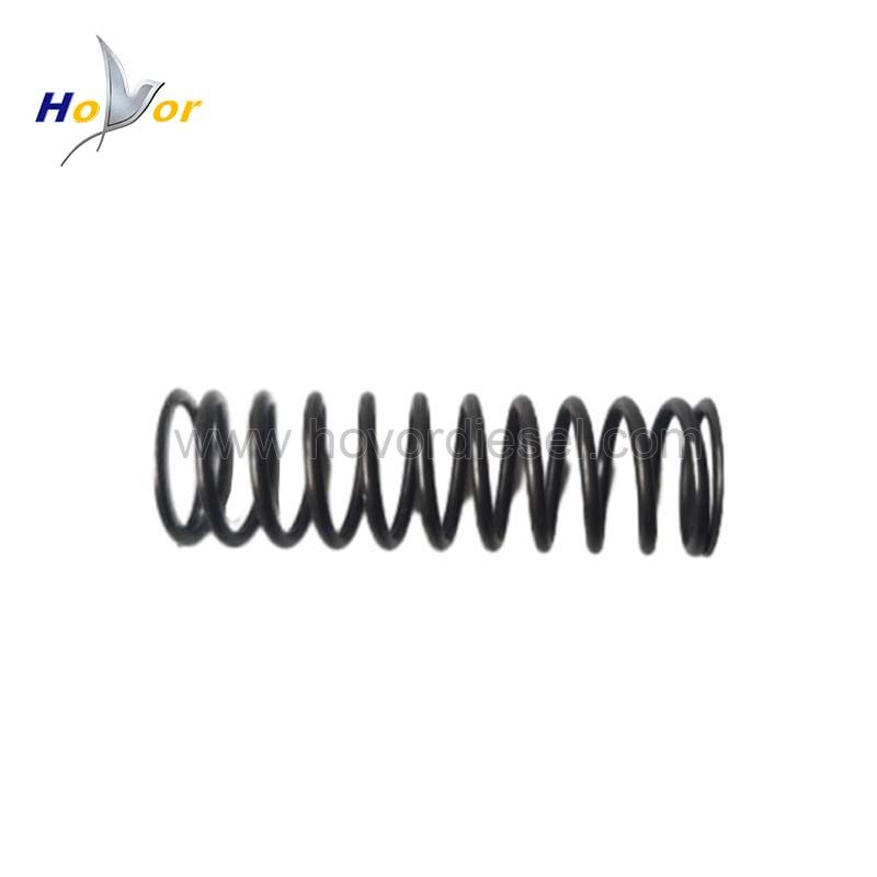 04178423 Diesel Engine Parts Compression spring for Deutz 1011 2011 engine