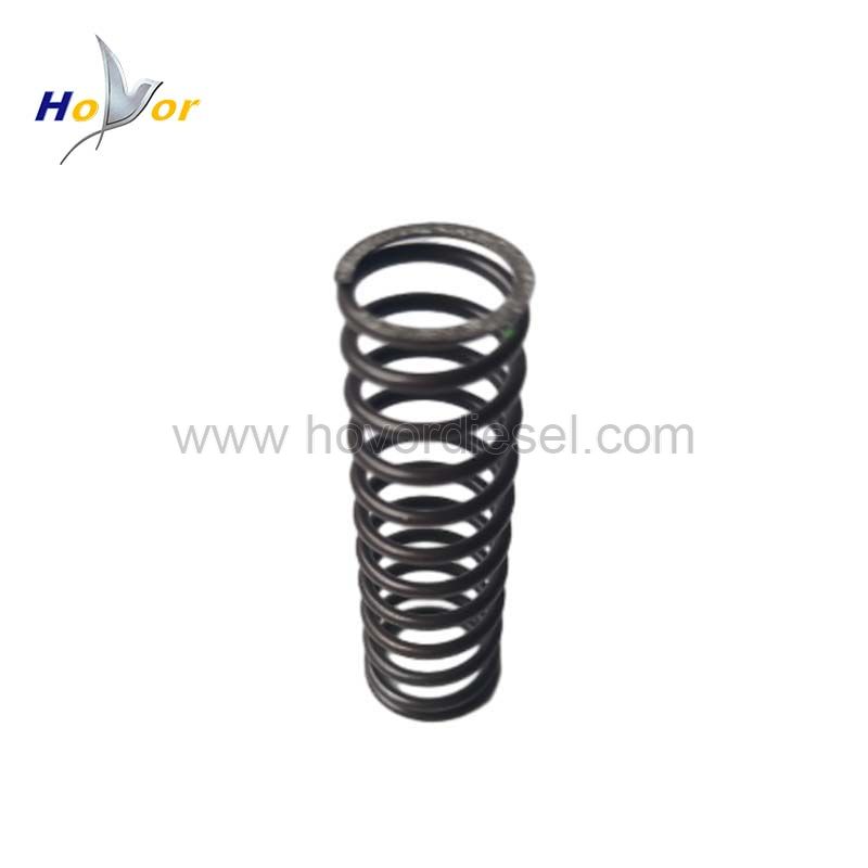 04178423 Diesel Engine Parts Compression spring for Deutz 1011 2011 engine