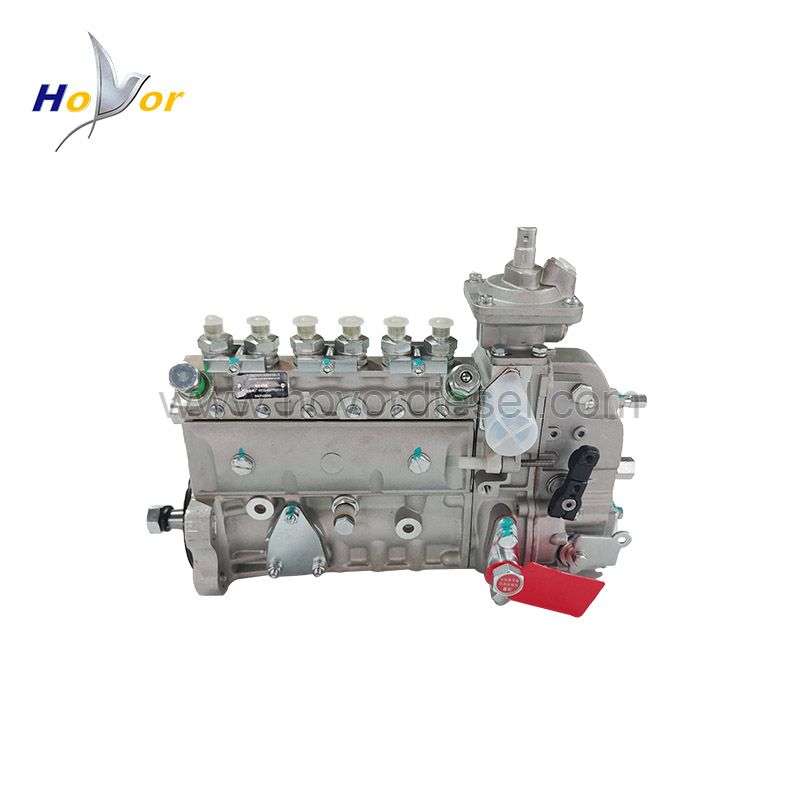 3974600 3938372 5678769 612601080923 Diesel Engine Parts Fuel Injection Pump for Cummins 6D114 6CT8.3